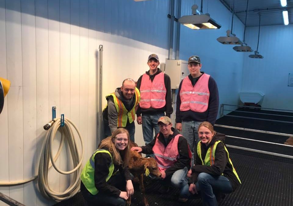 Minnesota Dairy Owner Faces Criminal Charges for Wage Theft